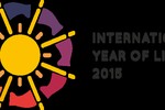 International Year of Light logo