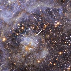 The Curious Case of the Spinning Star