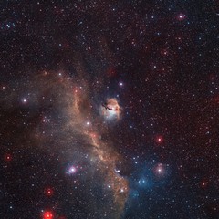 The Seagull Nebula Spreads its Wings