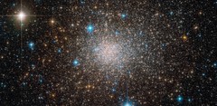 The Unusual Cluster: Terzan 5